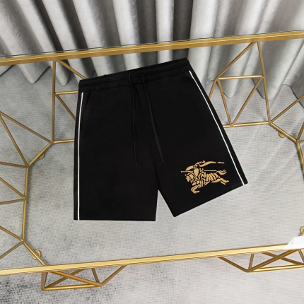Balenciaga Pants in 210979