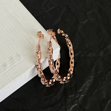 New Arrivals Celine Earrings in 212032