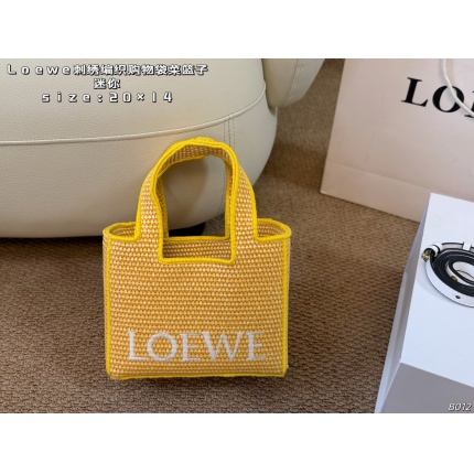 Loewe Bags in 213209