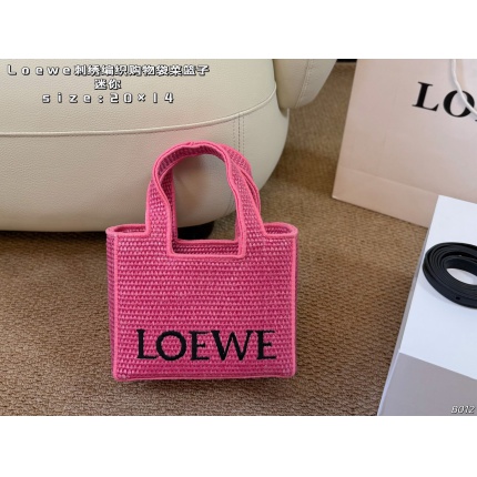 Loewe Bags in 213210