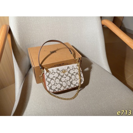 Coach Handbags in 213874