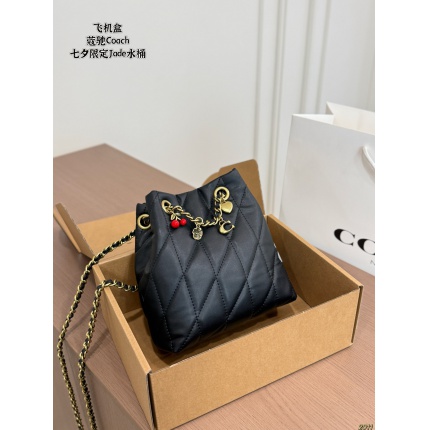 Coach Handbags in 213881