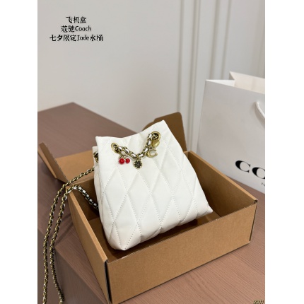 Coach Handbags in 213882
