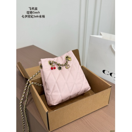 Coach Handbags in 213883