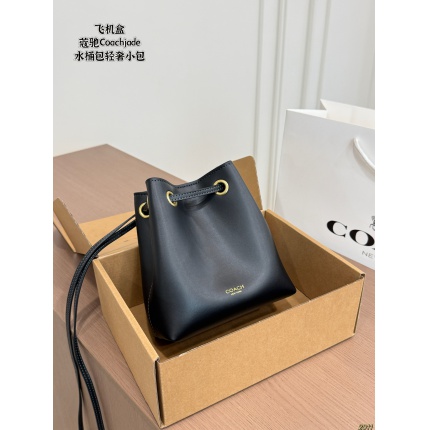 Coach Handbags in 213884