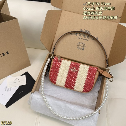 Coach Handbags in 213894