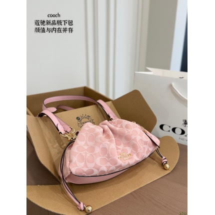 Coach Handbags in 213921