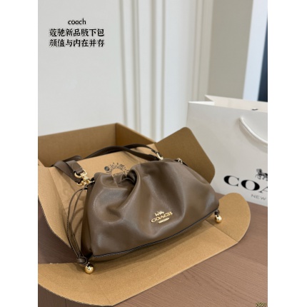 Coach Handbags in 213922