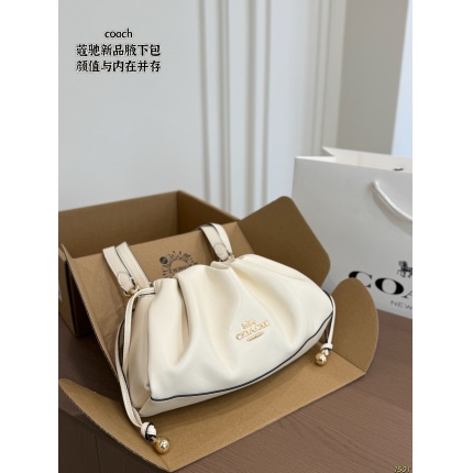 Coach Handbags in 213924