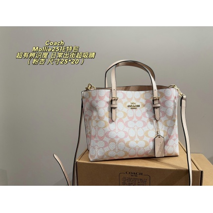 Coach Cross Bags in 213943