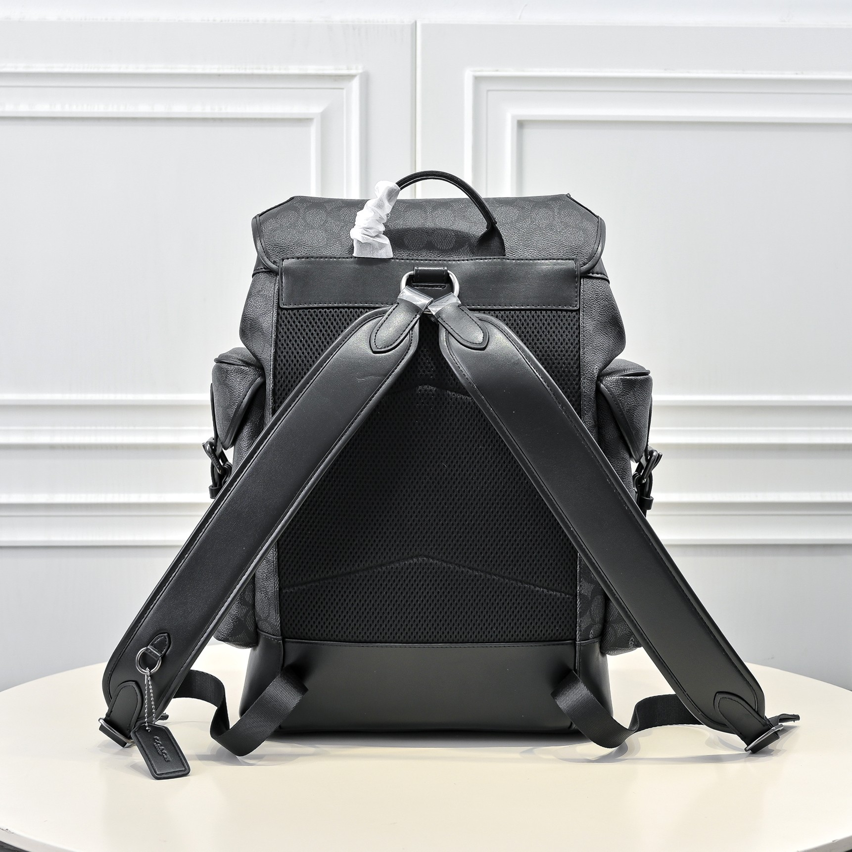 Cheap Coach AAA Backpack Bags in 210391, $175 USD- [IB210391] - Replica Coach AAA Backpack Bags
