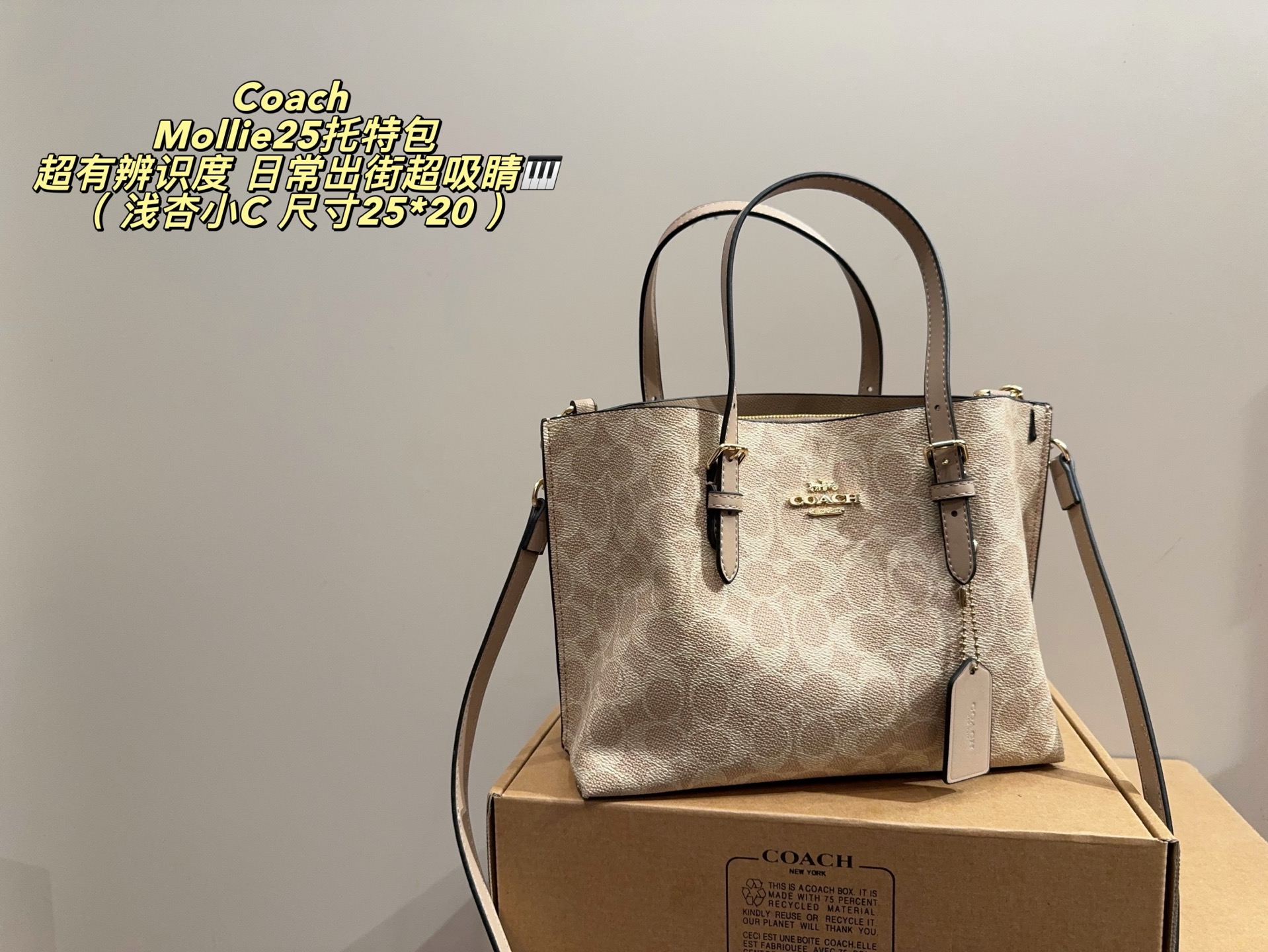Cheap Coach Cross Bags in 213950, $70 USD- [IB213950] - Replica Coach Cross Bags