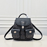 Coach AAA Backpack Bags in 210333