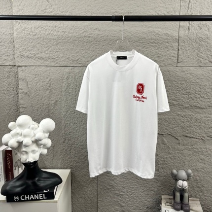 Amiri T-Shirts for Men in 215220