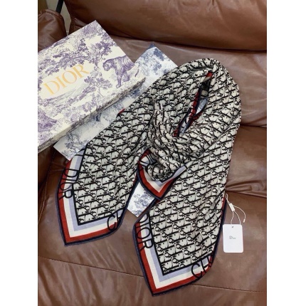 Dior Scarf in 216658