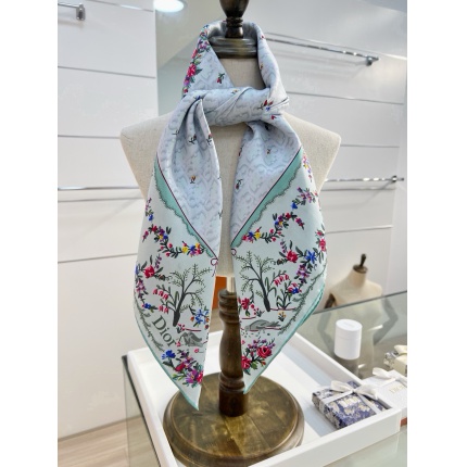 Dior Scarf in 216662