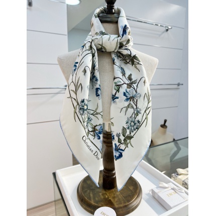 Dior Scarf in 216665