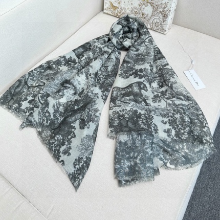 Dior Scarf in 216677