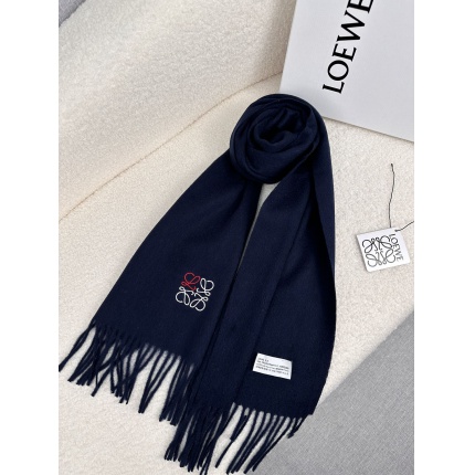 Loewe Scarf in 218141