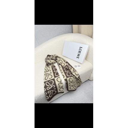 Loewe Scarf in 218145