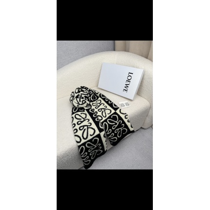 Loewe Scarf in 218147