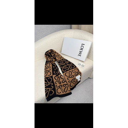 Loewe Scarf in 218150