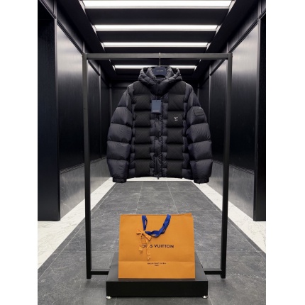 Louis Vuitton Thick Jackets For Men in 218796