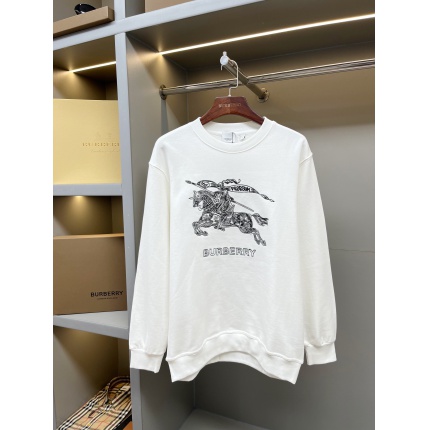 Burberry Hoodies in 219482