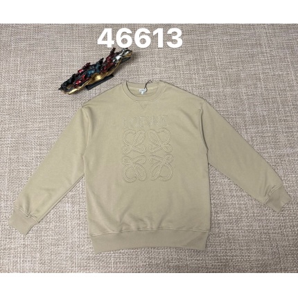 Loewe Hoodies in 219888