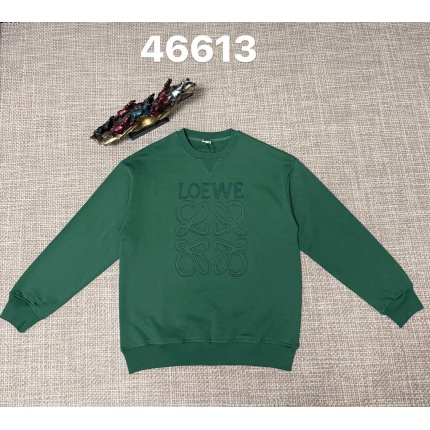Loewe Hoodies in 219889