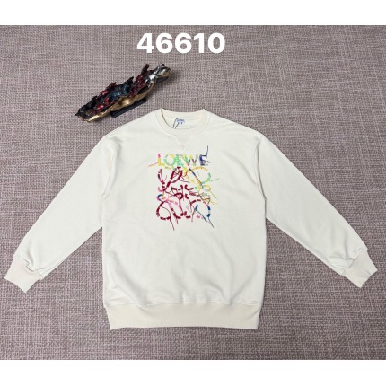Loewe Hoodies in 219893