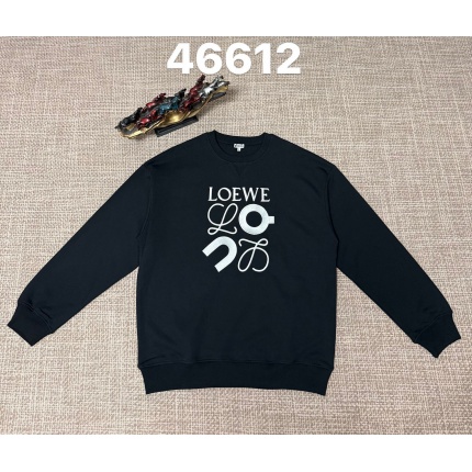 Loewe Hoodies in 219897