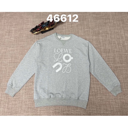 Loewe Hoodies in 219898