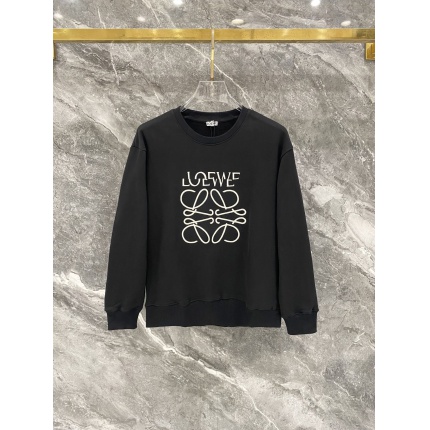 Loewe Hoodies in 219899
