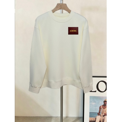 Loewe Hoodies in 219910