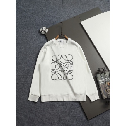 Loewe Hoodies in 219914