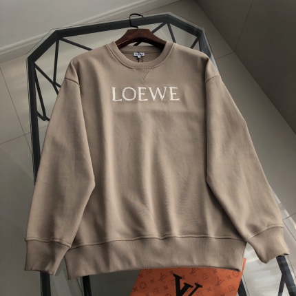 Loewe Hoodies in 219920