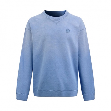 Loewe Hoodies in 219935