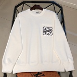 Loewe Hoodies in 219880
