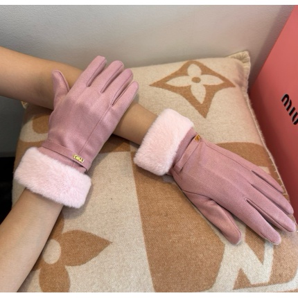 Gloves in 220554