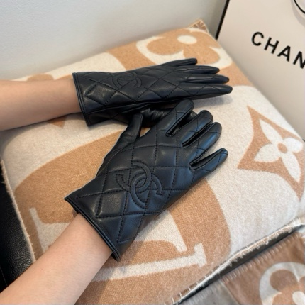 Gloves in 220591