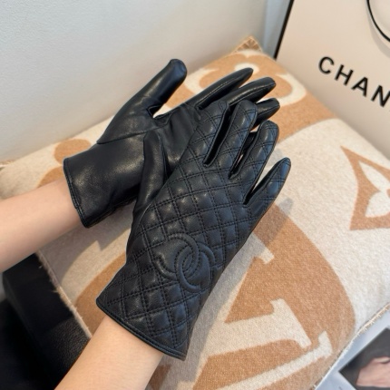 Gloves in 220593