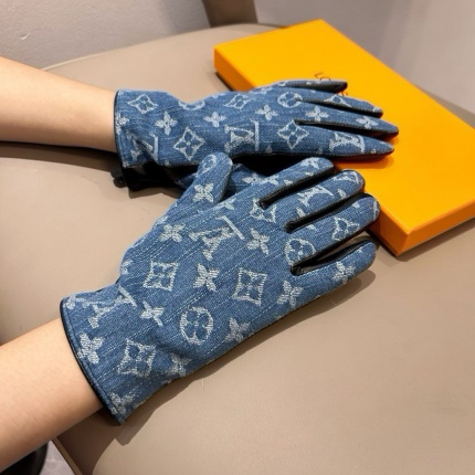Gloves in 220601