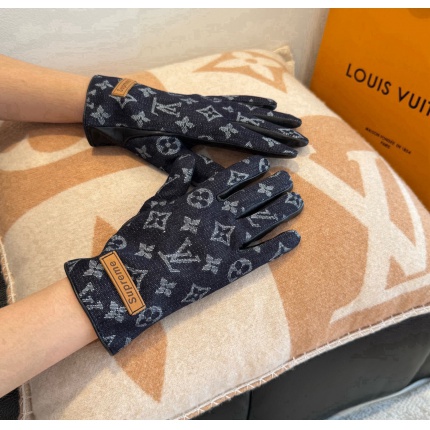 Gloves in 220606