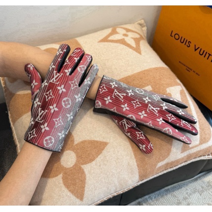 Gloves in 220608