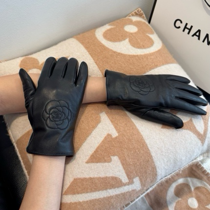 Gloves in 220612