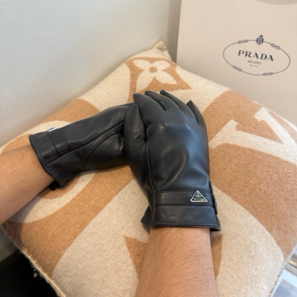 Gloves in 220627