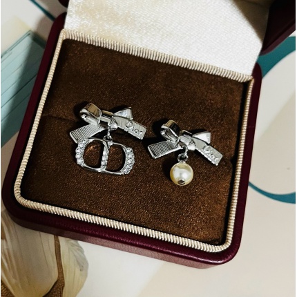 Dior Earring in 221114