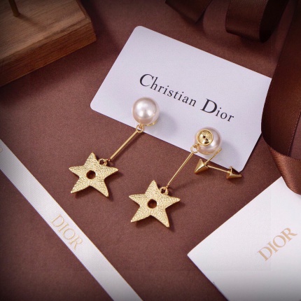 Dior Earring in 221115
