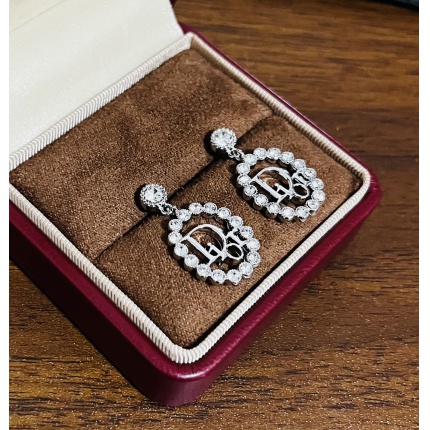 Dior Earring in 221118